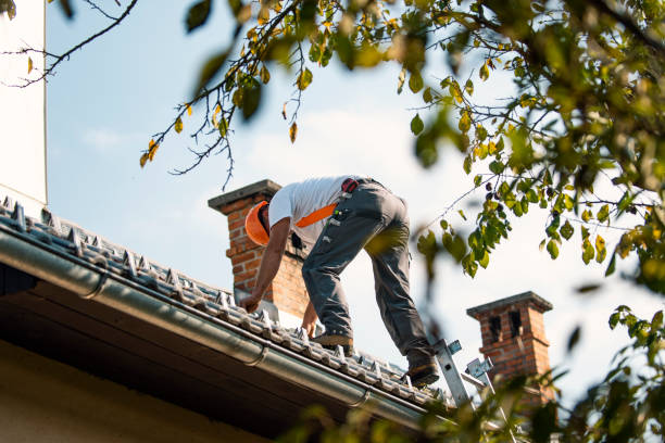 Best Gutter Installation and Repair  in Lake Of The Woods, IL