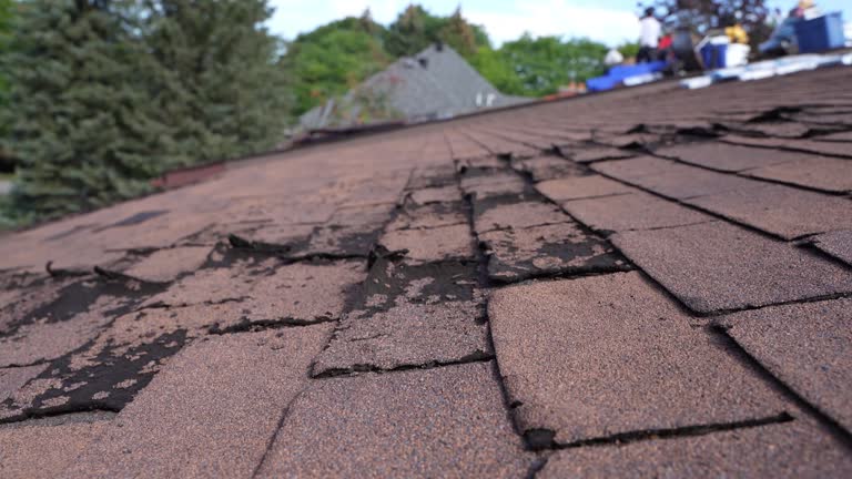 Emergency Roof Repair in Lake Of The Woods, IL