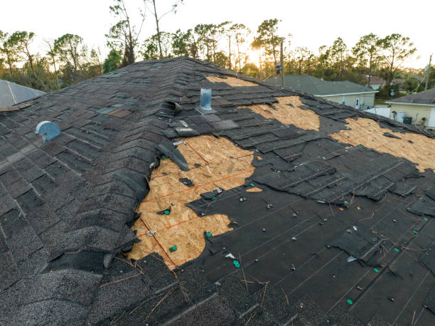 Cold Roofs in Lake Of The Woods, IL