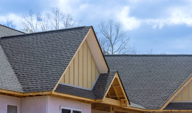 Best Asphalt Shingles Roofing  in Lake Of The Woods, IL